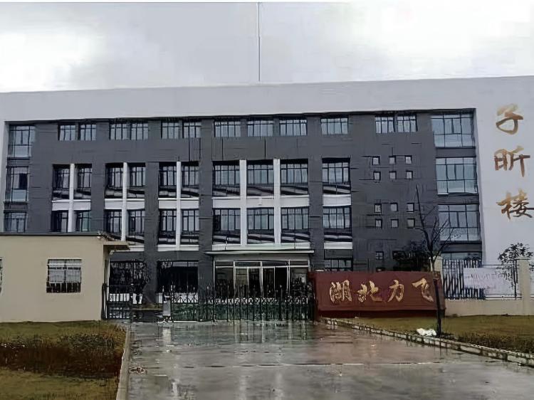 湖(hú)北(běi)力飛(fēi)航空(kōng)科(kē)技(jì)有(yǒu)限公司辦公樓